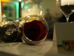 konigsball 2024087